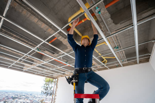 Best Plumbing Inspection Services  in Lmyra, PA